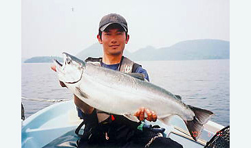 Masu Salmon world record taken in Japan, 2005.