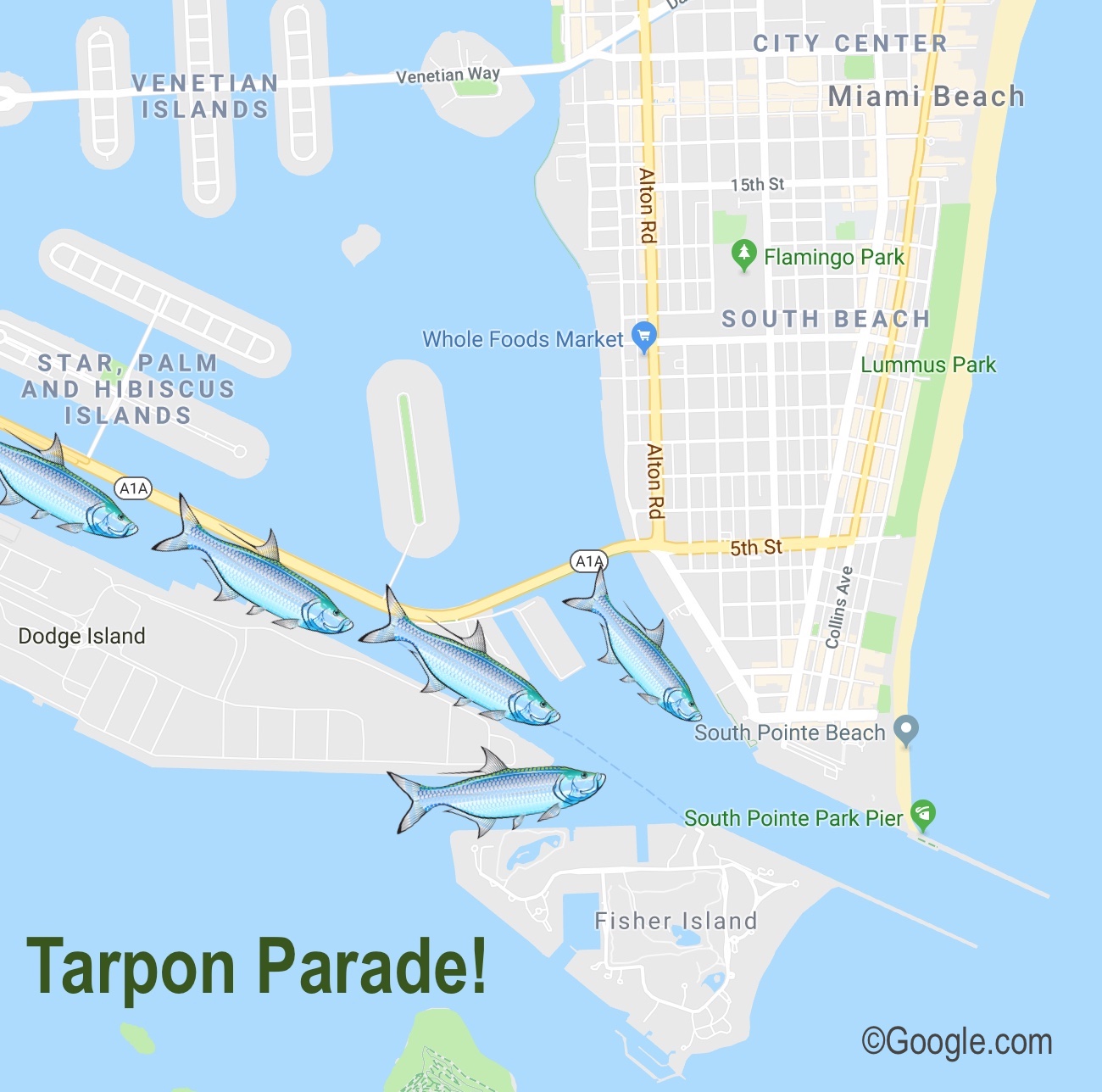 Hot-spot for tarpon fishing by Miami Beach and Fisher Island at Government Cut and Fisherman's pass. Very good fishing.