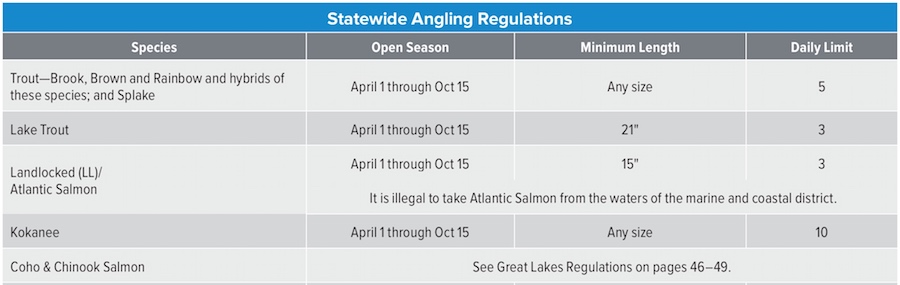 Salmon fishing chart for New York State regulations and restrictions.