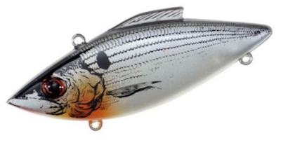 Shad color Rat-L-Trap redfish lure for catching all size redfish.