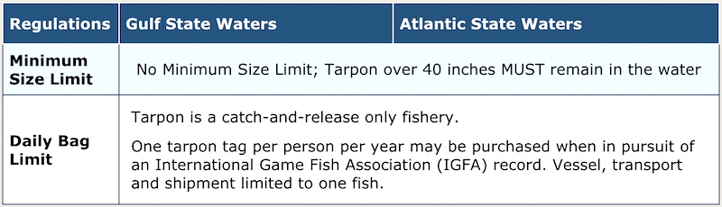 Florida State tarpon fishing regulations chart. 14 January 2018.