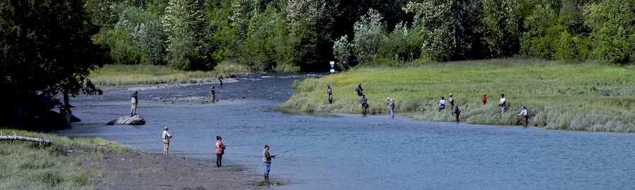 Salmon fishing Alaska river.
