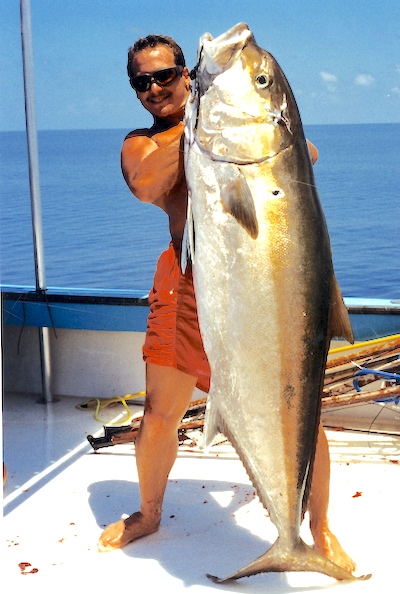 A very large greater amberjack caught in the Dry Tortugas in August 1995.