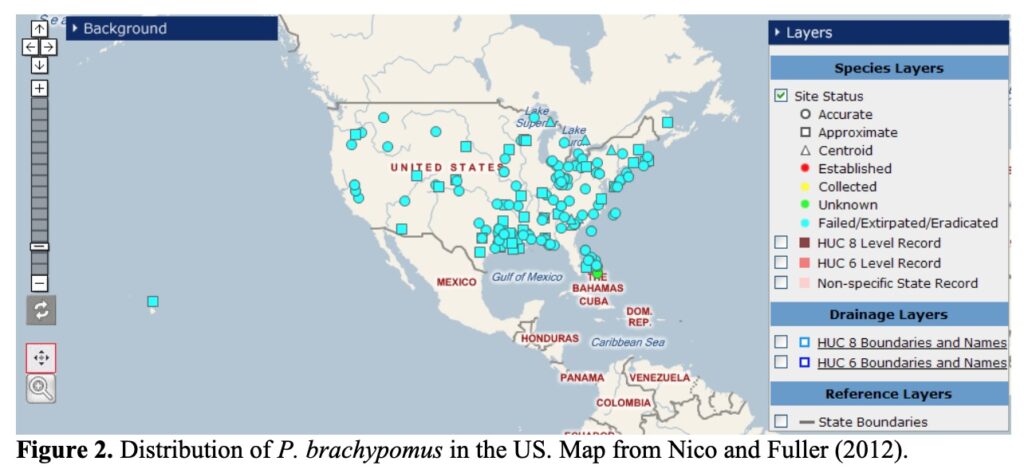 Pacu fish distribution in North America (United States).