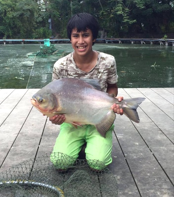 Big red-bellied pacu fish caught fishing in a Florida Lake by this young angler.
