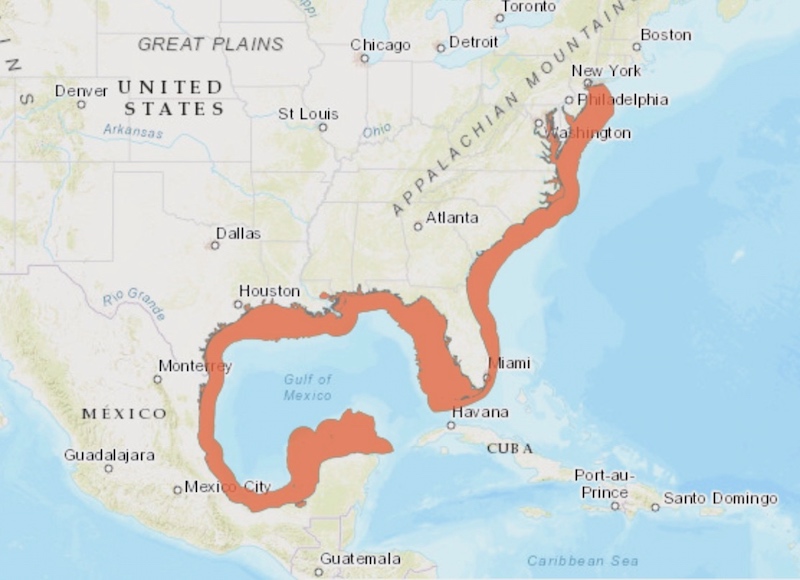 Speckled seatrout range in Eastern USA and the Yucatan Peninsula in Mexico.