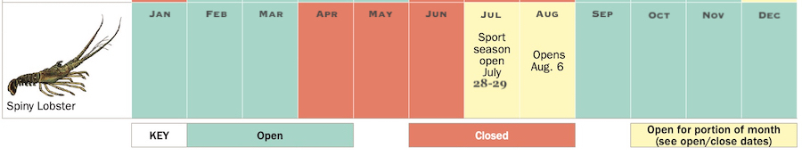 Florida spiny lobster open season chart for 2021 showing legal dates for lobstering in Florida State.