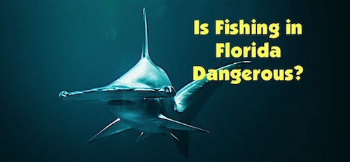 Is fishing safe or can it be dangerous too? Find out.