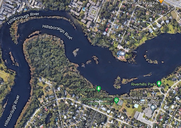 Tampa's Hillsborough River at Temple Terrace's Riverhills Park.