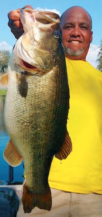 Guy with largemouth bass caught on artificial lure at bass lake in northern Florida.