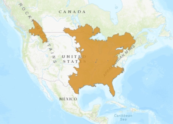 Range map for largemouth bass &acirc;€“ Micropterus salmoides in the United States.