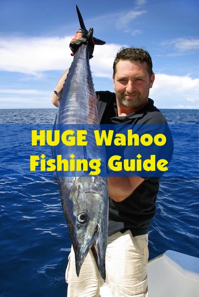 A large 5 foot long wahoo caught off Florida's east coast.