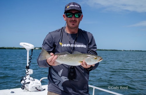 Spotted sea trout caught on inshore fishing boat charter in Florida.