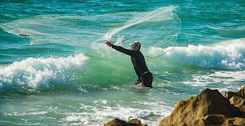 Casting net for live bait fish in the ocean.