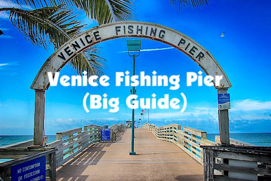 Huge guide for fishing on the Venice Fishing Pier in Florida on the west coast.