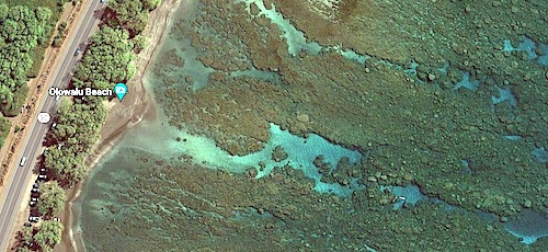 Olowalu Beach is a small patch of sand surrounded by a lot of coral reef!