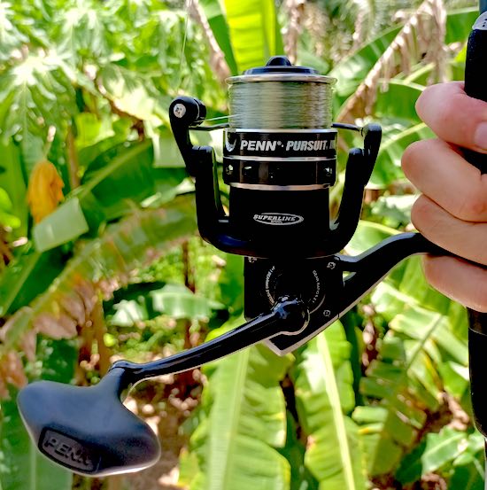 PENN PURSUIT III reel.