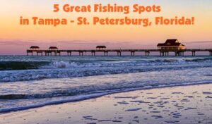 5 really amazing places to go fishing in Tampa and St. Petersburg, Florida. Pier, inshore, river, and beach fishing.