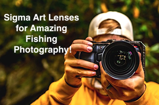 Sigma Art and Sports lenses for fish photography.